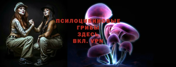 дживик Алексин