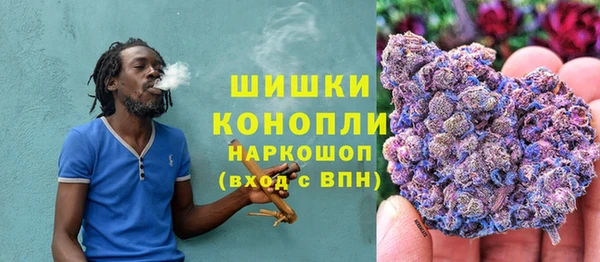 сатива Алзамай