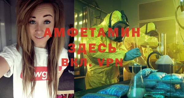 сатива Алзамай