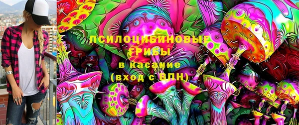 сатива Алзамай