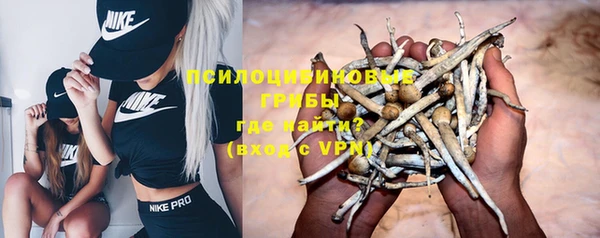 дживик Алексин