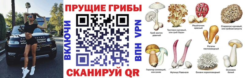 Галлюциногенные грибы ЛСД  Шадринск 